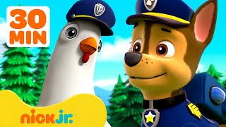 PAW Patrol Rescues Chickaletta!  w/ Chase & Rubble | 30 Minute Compilation | Nick Jr.