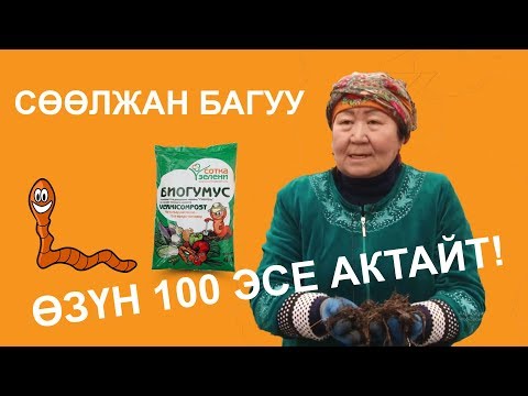 Video: Аммиакты кантип алууга болот