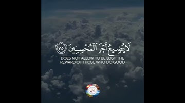 Surah Hud | Verse 115 | Beautiful Voice | سورة هود | THE VISUAL QURAN