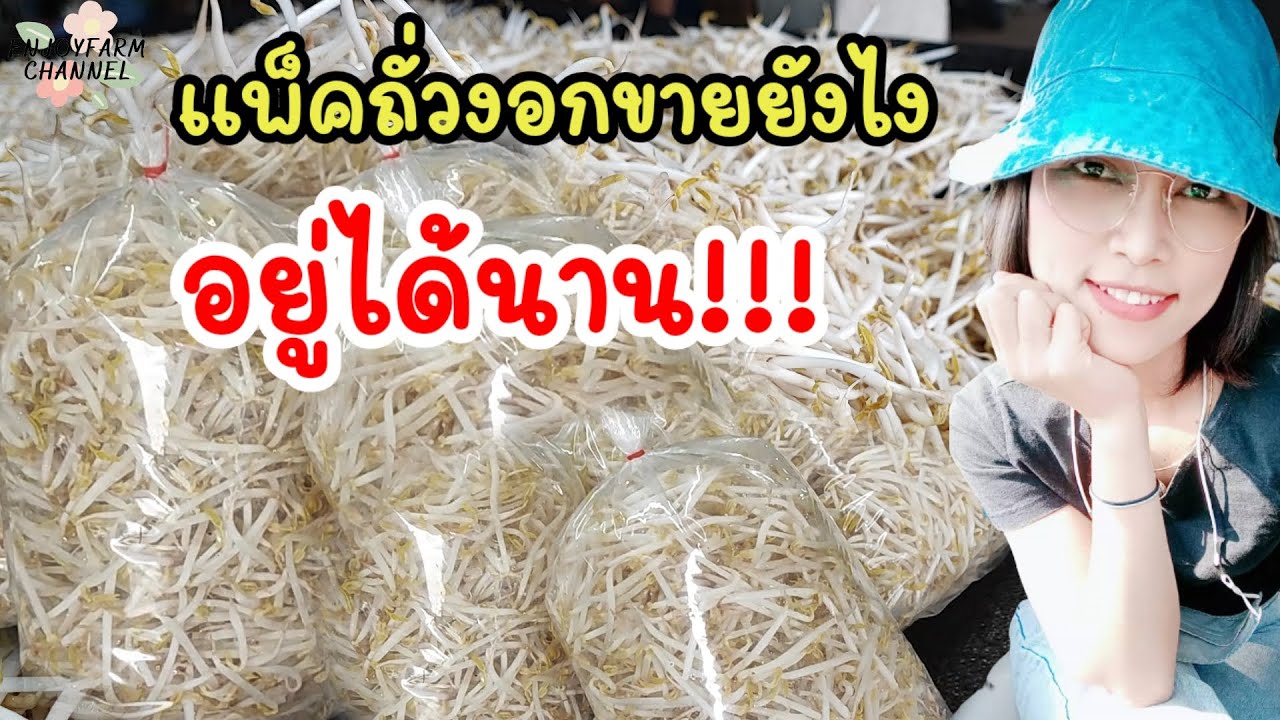 แพ็คถั่วงอกยังไงเก็บได้นานลูกค้าชอบ