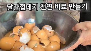 달걀껍데기!! 버리지 마세요!! (화초 채소야채 잘 키울 수 있어요)