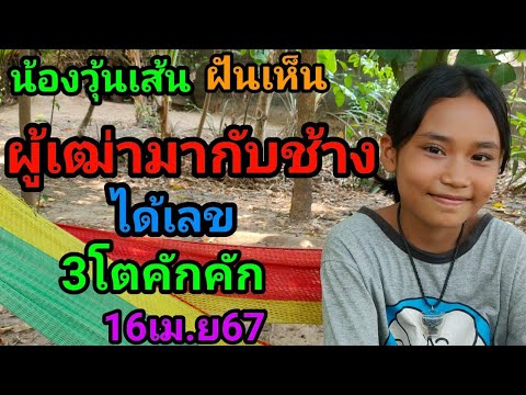 #น้องวุ้นเส้น#ฝันเห็นผู้เฒ่ามากับช้างได้เลข3โตคักคัก16เม.ย67