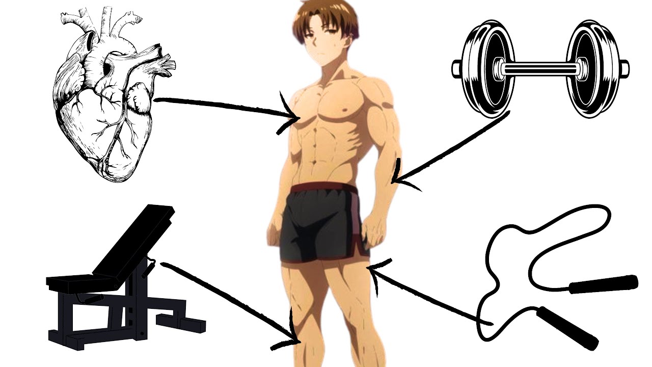 How Ayanokoji became JACKED (Science-Based)