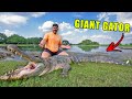 We Caught The BIGGEST Gator On The RANCH!