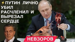 Невзоров. Новости.