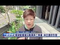 藍營罷免總統計畫