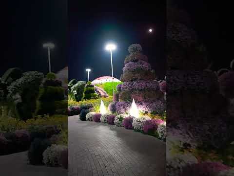 Видео: Dubai Miracle Garden