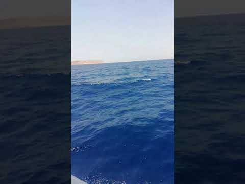 كلامه بحر حنيه