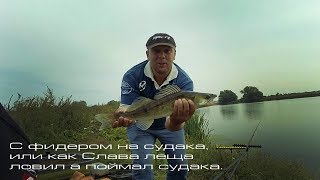 С фидером на судака, или как Слава леща ловил а поймал судака. Нижняя Москва Река.