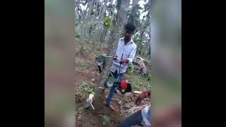 Guys Have A Clever Way To Get Fruit From A Tree!