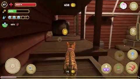 Cat Simulator 2020 #27 (Avelog) | Android Gameplay HD