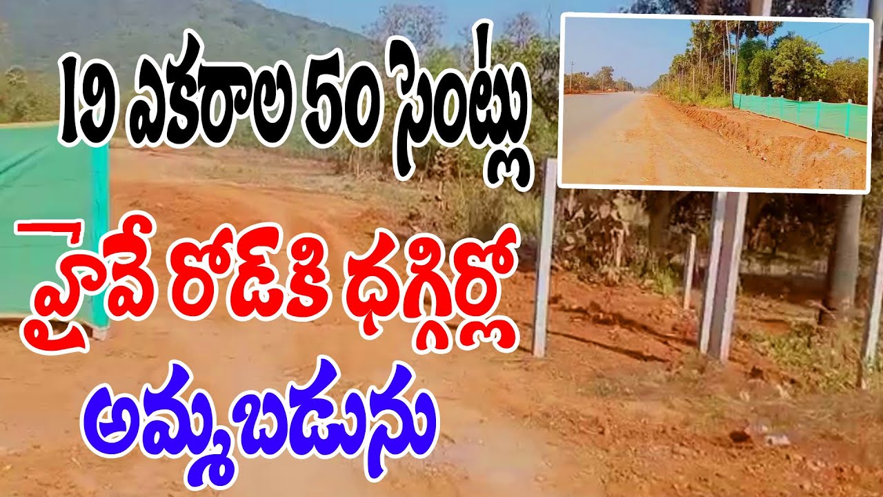 Mango Garden For Sale Tourism Land For Sale National Highway Near