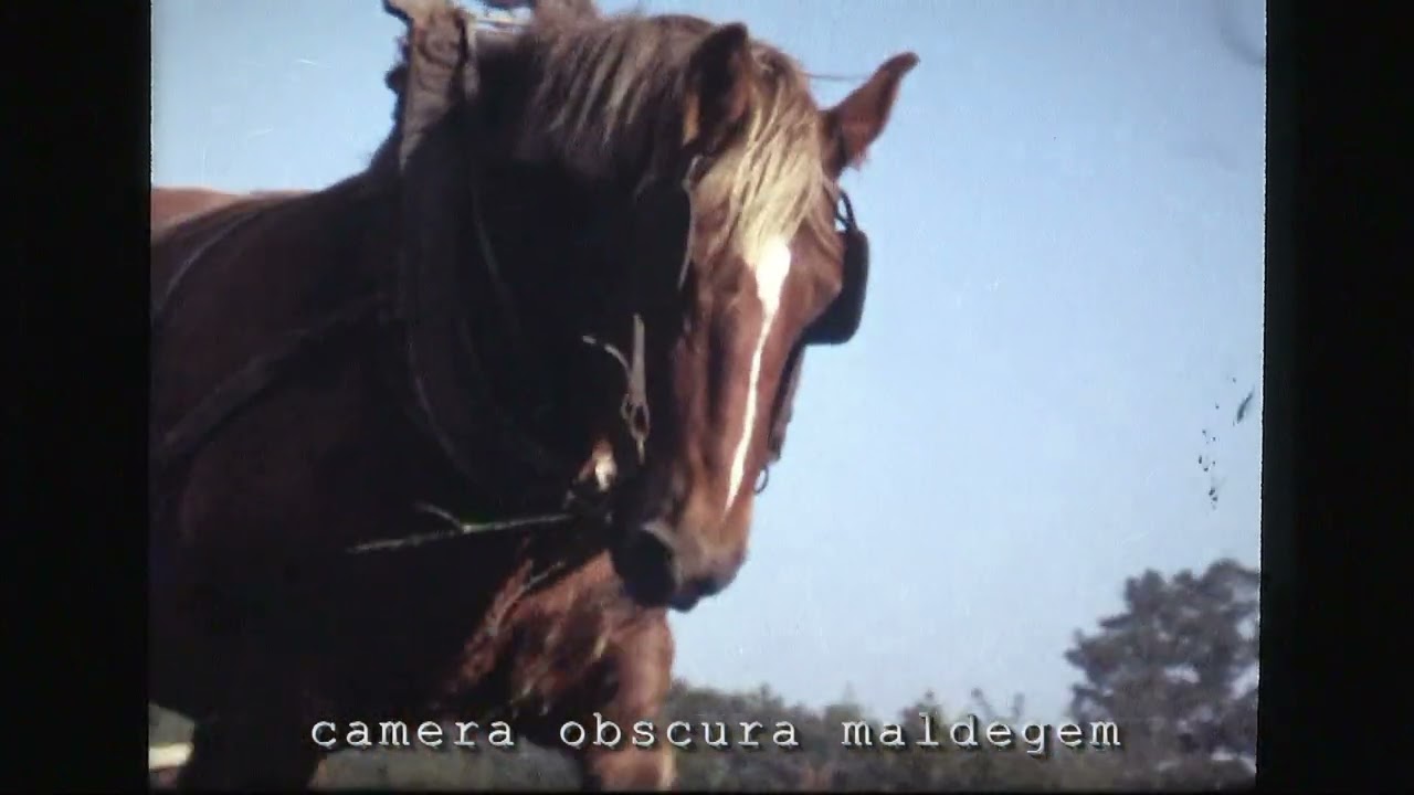 6459 Mijn mensen van mijn dorp (film super8)./VEMD