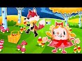CANDY CRUSH SAGA GAMEPLAY LIVE CANDY CRUSH SAGA GAMEPLAY LIVE