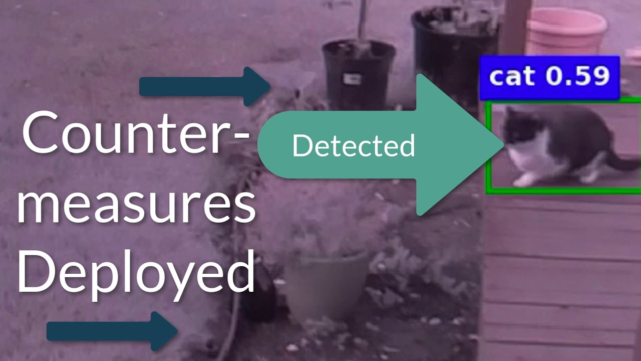 Keeping the Neighbors' Cats off the Lawn using Deep Learning AI - YouTube
