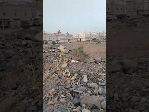 حي الطحلاوي او الهدا او الهدى في الجنوب جدة جز الأولى