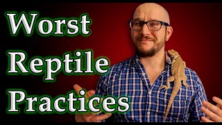 Top 5 Most Questionable Reptile Practices | Are These Really That Bad?