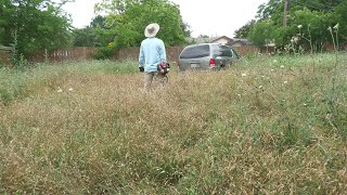 6 MONTHS of NO MOW This Yard was EXTREMELY OVERGROWN HELPING FREE YARD MAKEOVER