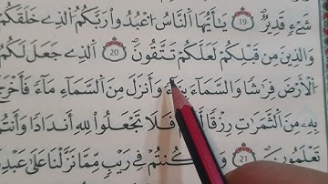 الربع الاول ☝ سورة البقرة 🐄 رواية قالوون عن نافع 💕👌