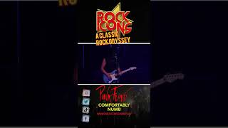 Pink Floyd Comfortably Numb Guitar Solo Cover #shorts