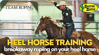 Rope Horse Training | Breakaway Roping on Your Heel Horse