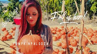 3 Reno Pumpkin Patches in 1 DAY!