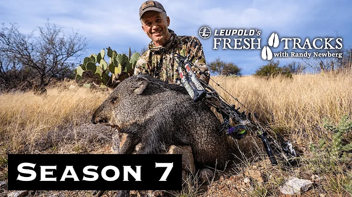 Sonoran Wildlife Wonderland: Arizona Coues, Quail,...
