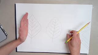 3rd Grade Warm and Cool Color fall leaves 3rd Grade Warm and Cool Color fall leaves