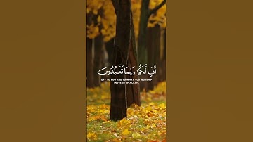 أف لكم و لما تعبدون من دون الله  القارئ إسلام صبحي