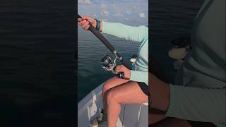 Big tarpon on the stanz rod fishing long key bridge #tarponfishing
