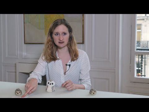 Vidéo: Qu'est-ce qu'un symbole clé ?