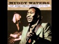 I M Ready Muddy Waters HQ The Johnny Winter Sessions 1976 1981 Lyrics mp3