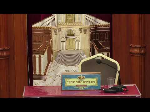 שיעור חי  -LIVE -הרב דוד לוי ספר משלי עם הרבה אמונה  ובשעה 20:15 הרב שמשון כהן הלכה ואגדה