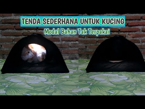 Video: Cara Membuat Tenda Atau Tempat Karantina Untuk Kucing Atau Anjing Kecil
