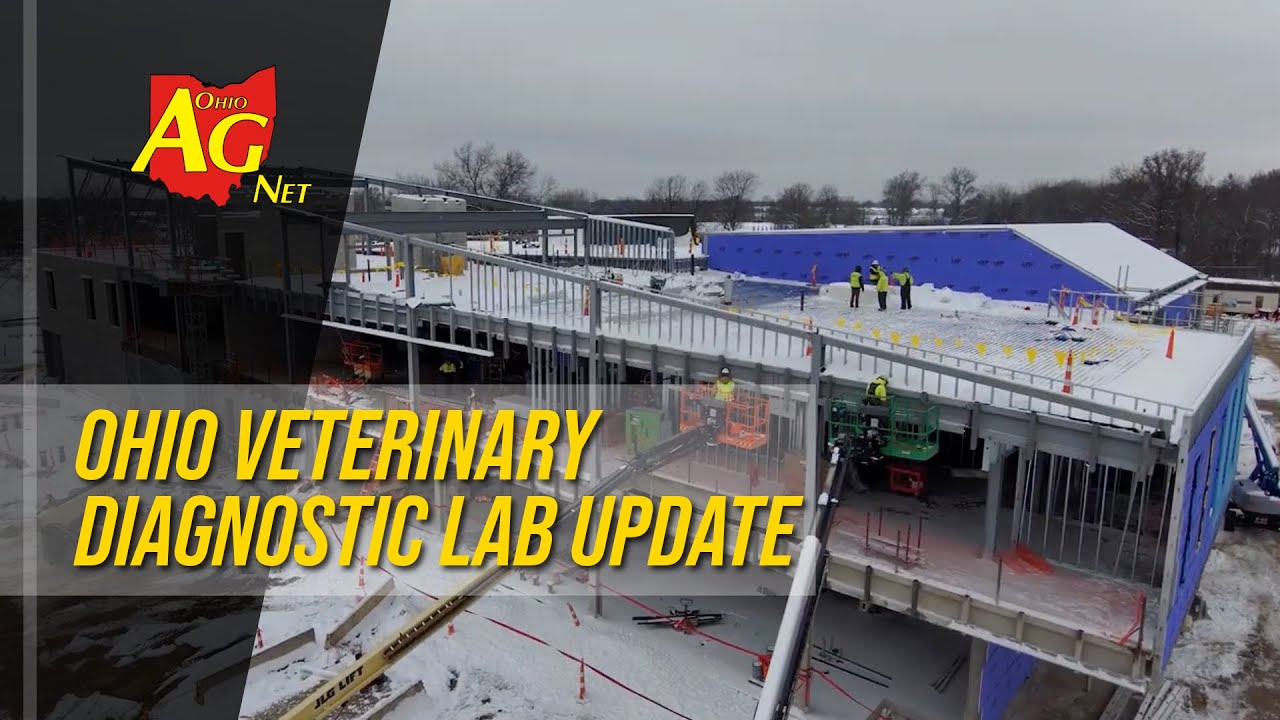 Progress on the new Ohio Veterinary Diagnostic Lab continues