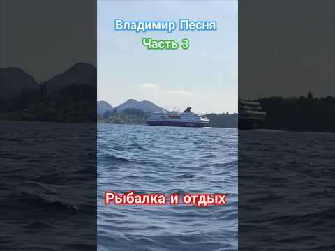 Владимир Песня / не пара #шорт #shortvideo #shorts