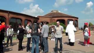 confuzzled 2013