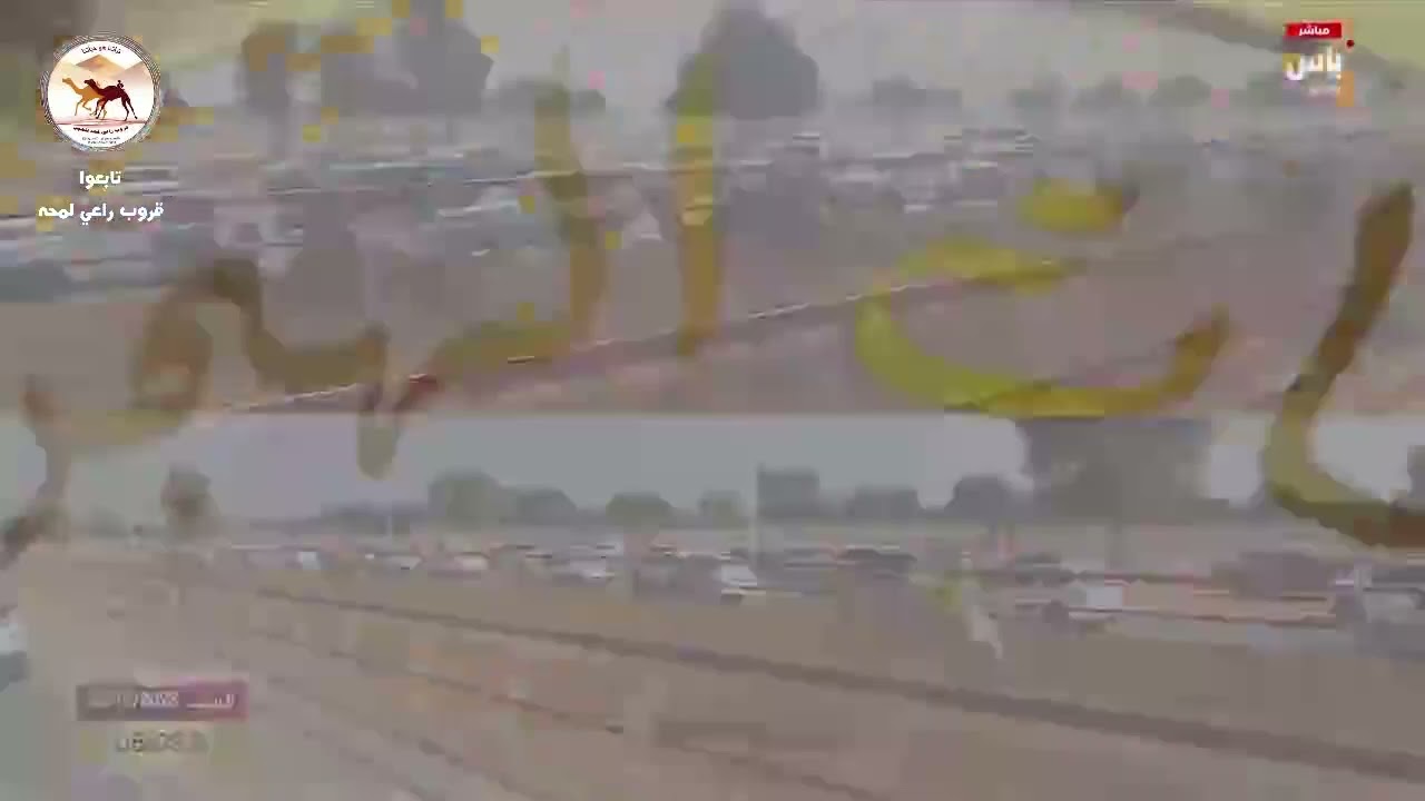 الشوط 4 ( سيف الحول المفتوح)زاخر لـ عبد العزيز موسي الموسى 8:55:4