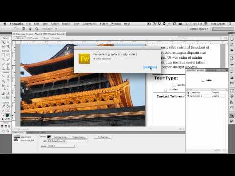 Fireworks CS5: Use the Flex symbols in the Common Library