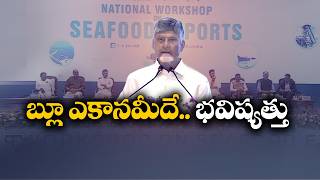 Future Belongs to the Blue Economy | CM Chandrababu Naidu at Seafood Workshop