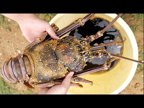 巨大イセエビを生きたまま醤油にぶち込んで4日間放置してみたら…