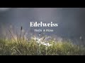 Edelweiss | Violin &amp; Piano Cover