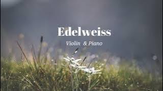 Edelweiss | Violin & Piano Cover