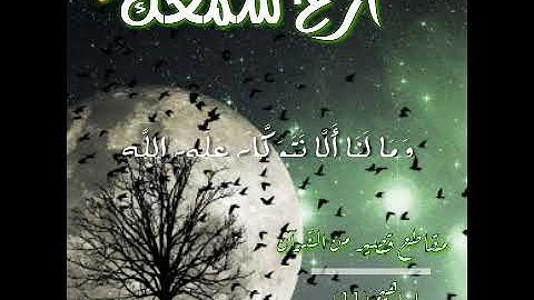 مقطع قصير من سورة ابراهيم||حالات واتس اب دينية|| ارح سمعك
