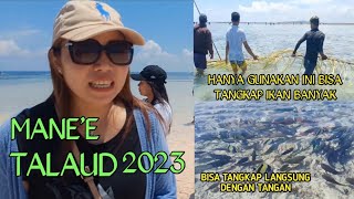 Download Lagu MANE'E DI PULAU INTATA 2023//DISINI IKANNYA JINAK SEMUA MP3