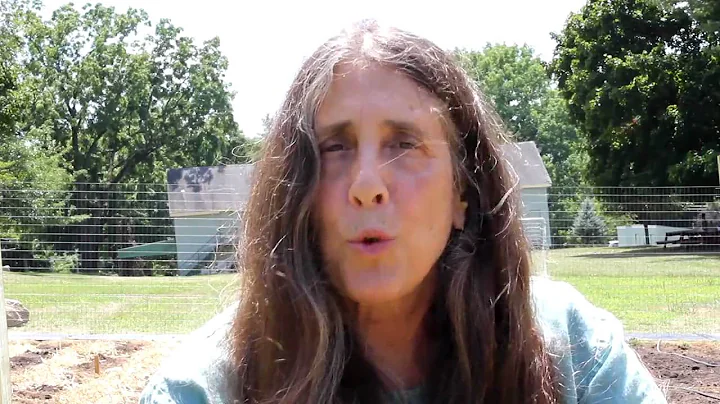 Rabbi Lynn Gottlieb on Israel & Palestine Conflict...