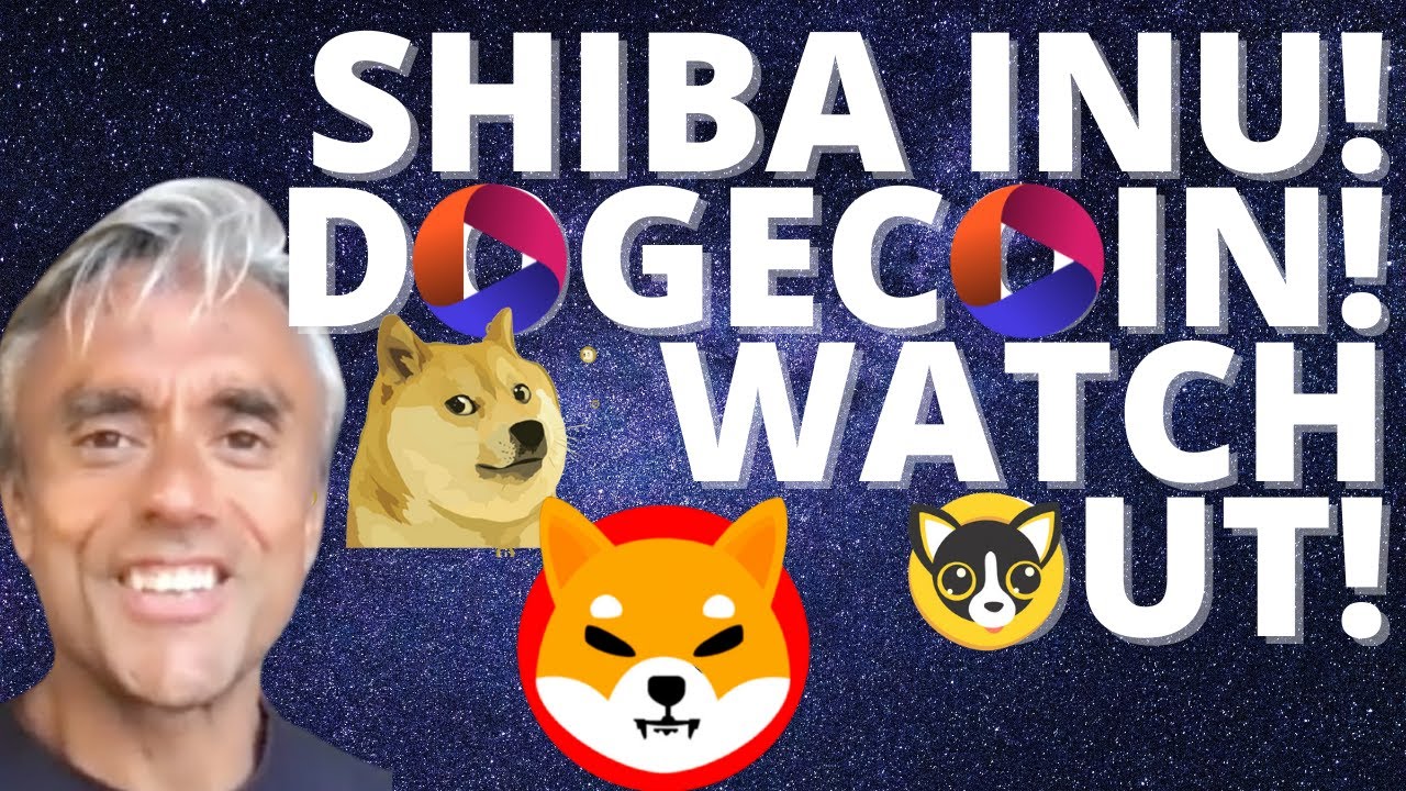SHIBA INU! DOGECOIN! WATCH OUT! MAKE MORE MONEY WITH THIS MEME COIN ...