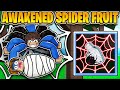 We Awakened The NEW SPIDER FRUIT In Blox Fruits!