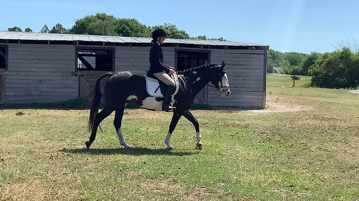 Lilly Jewett - Beginner Hunter U/S (W/T)