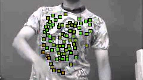 Automatic Non-rigid 3D Modeling from Video